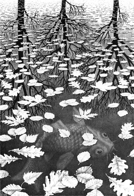 Escher_Three-Worlds_1955.jpg